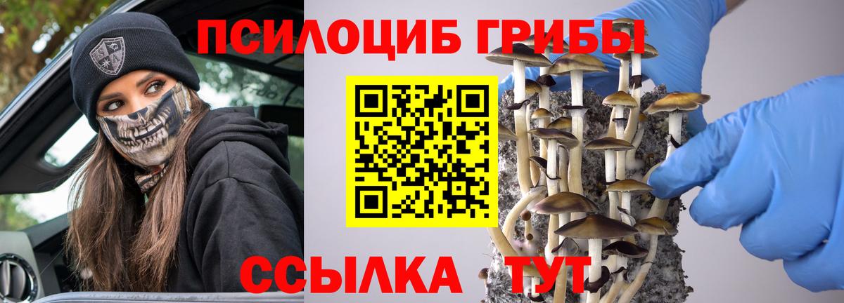 Галлюциногенные грибы мицелий  Галлюциногенные грибы Cubensis  Вход с VPN  Гусь-Хрустальный 